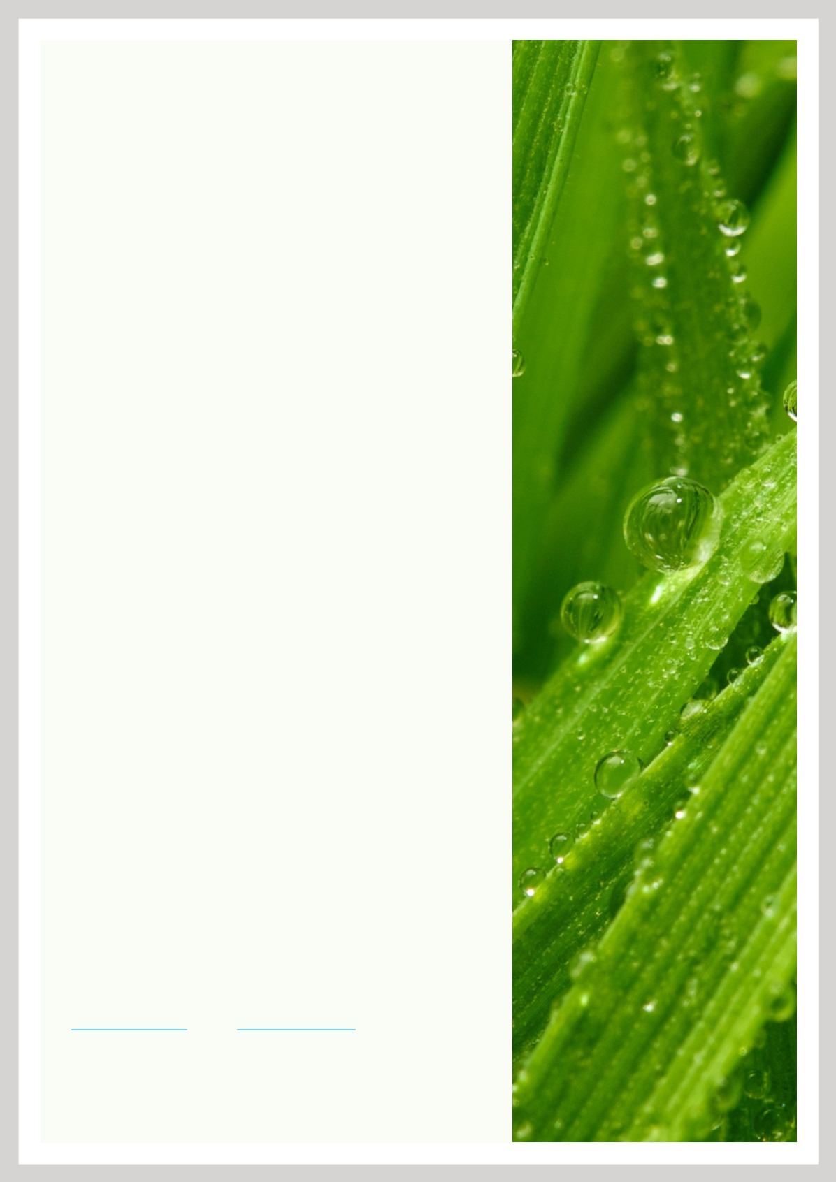 Page Background